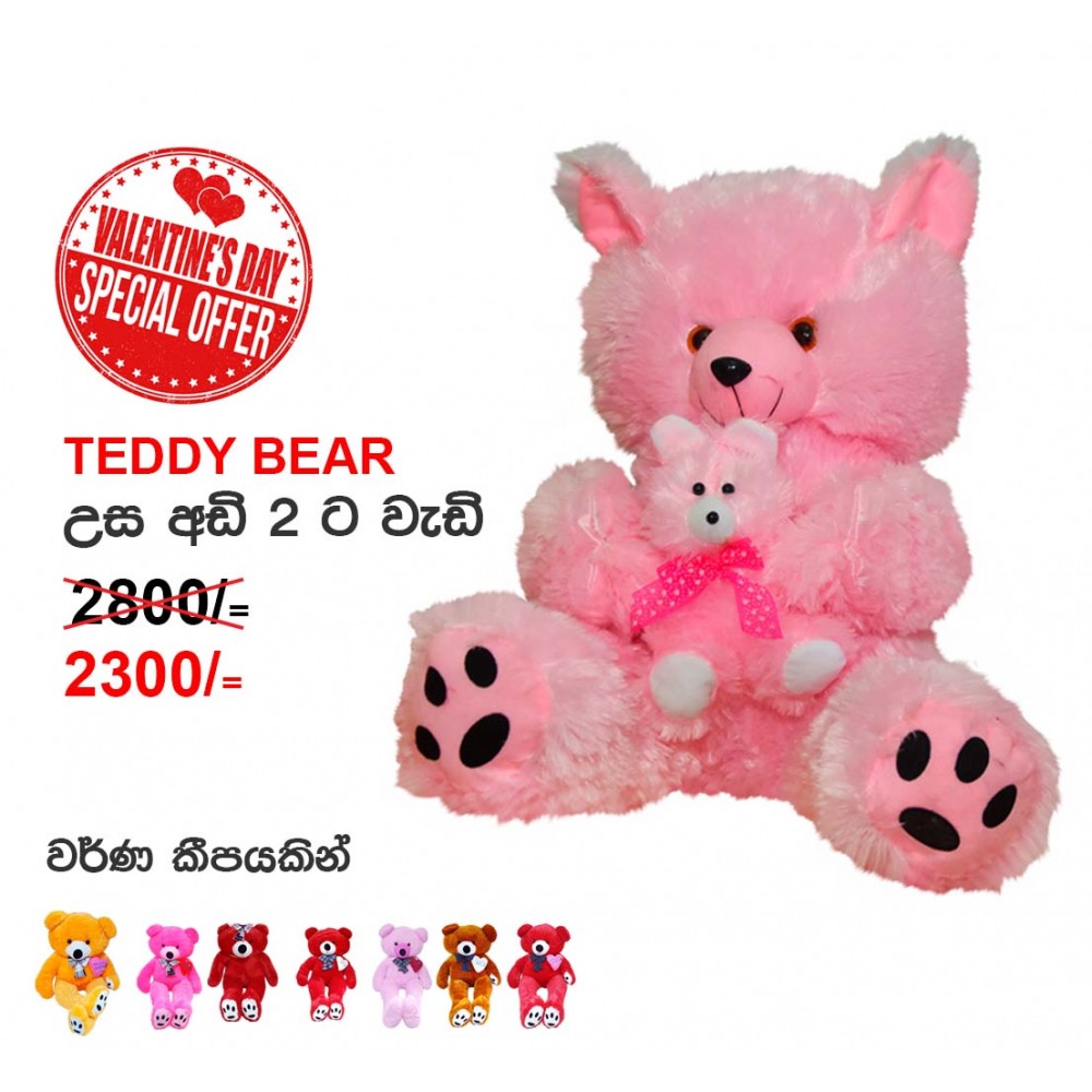 Teddy Bear >2tf (උස අඩි 2ට වැඩි)