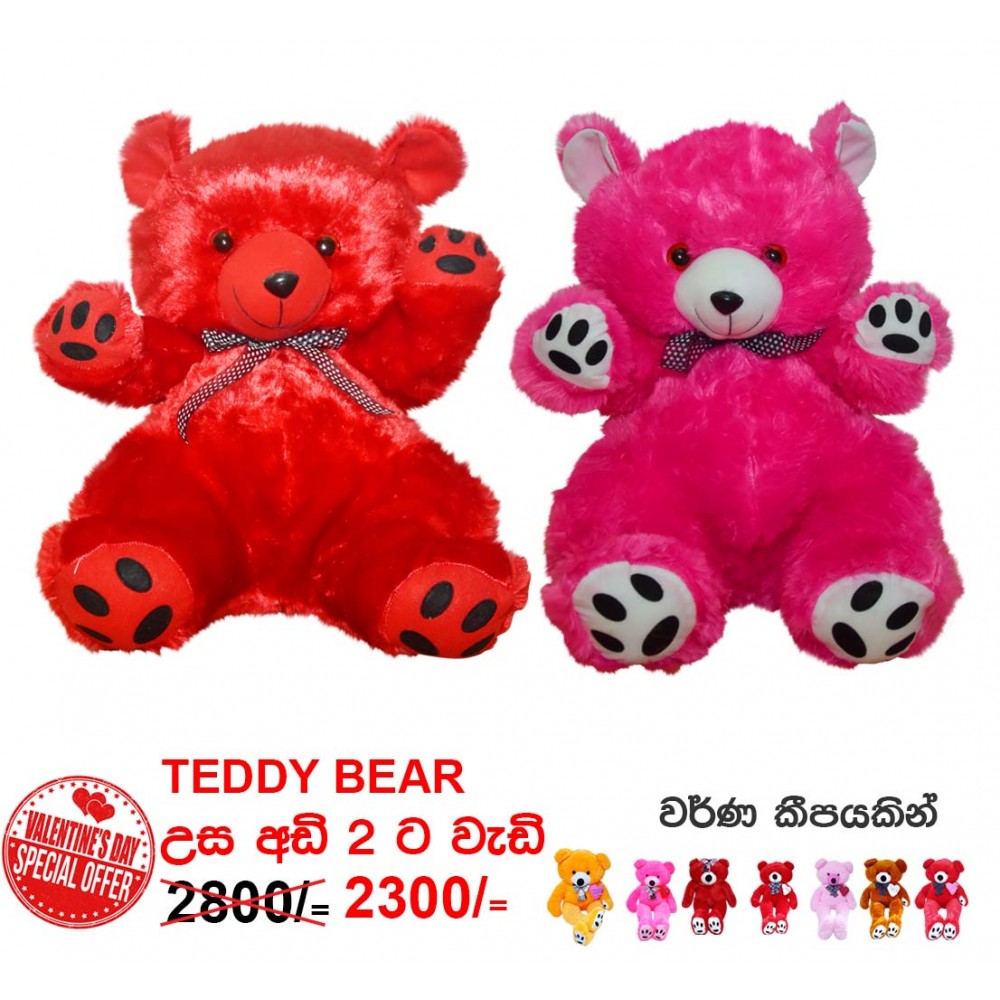 Teddy Bear >2tf (උස අඩි 2ට වැඩි) Valantine Offer